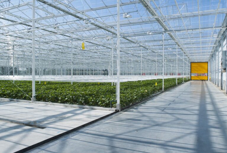 Greenhouse Structure Building