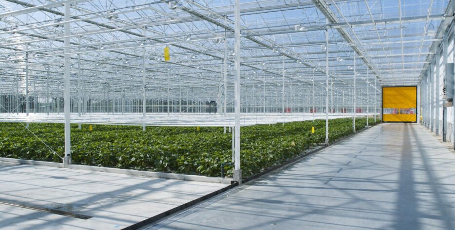Greenhouse Structure Building